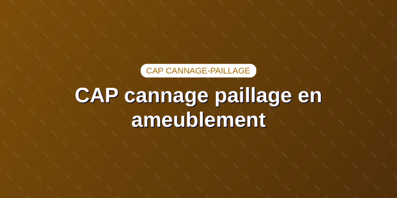 Diplôme du CAP cannage paillage en ameublement et outils d atelier