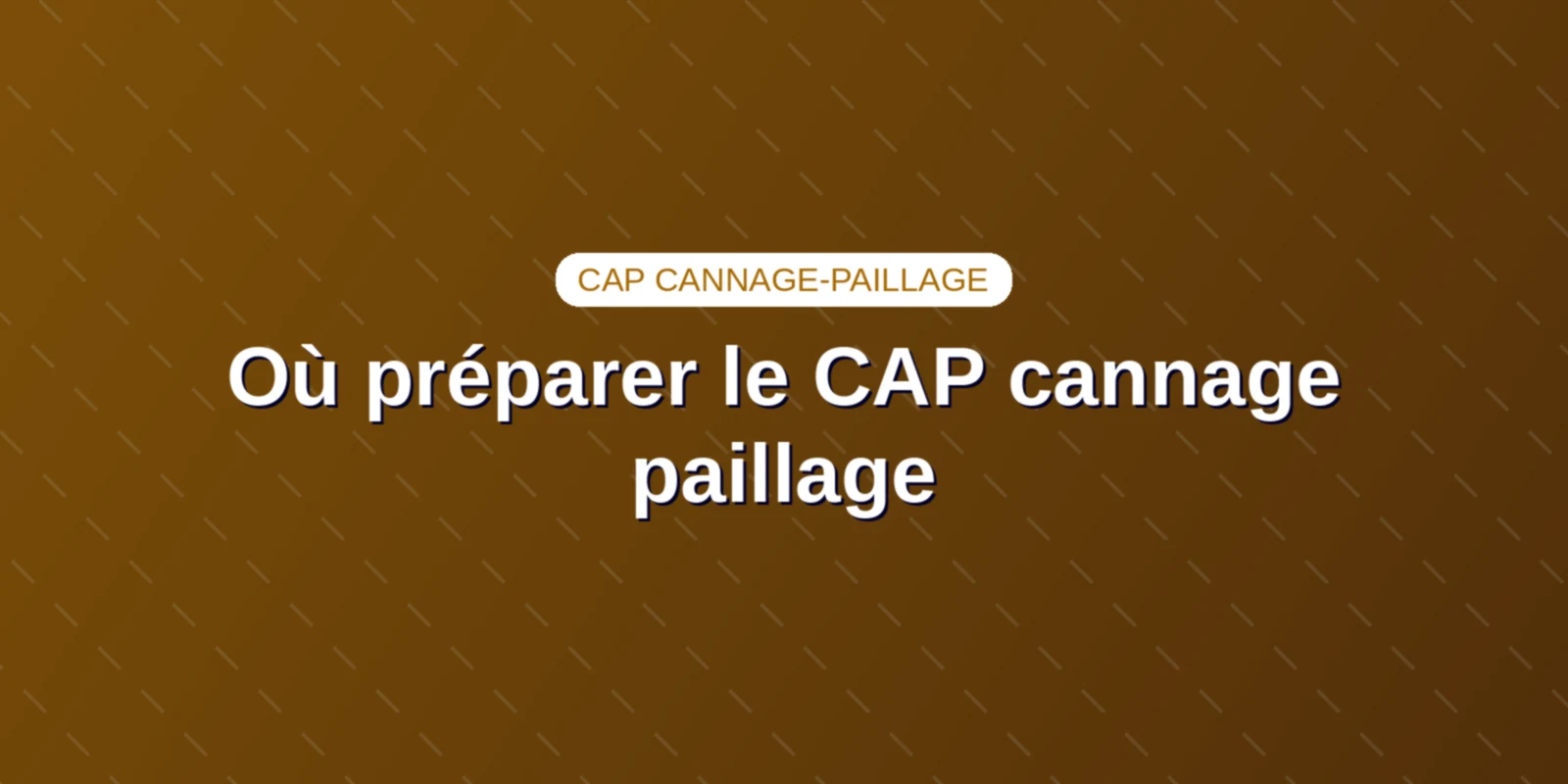 Où préparer le CAP cannage paillage : écoles, stages et VAE Établissements et ateliers préparant au diplôme du CAP cannage paillage